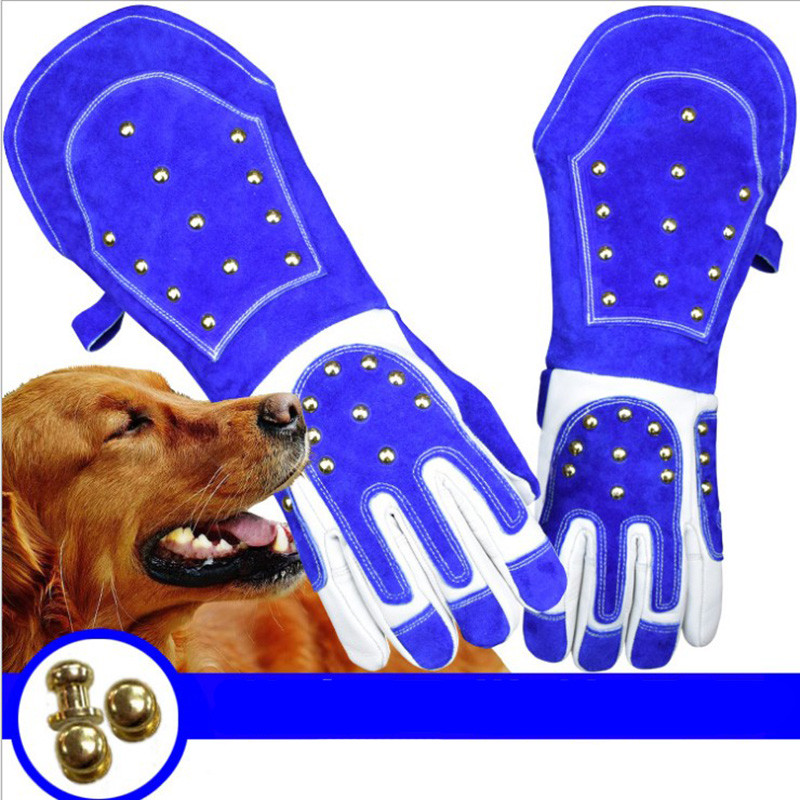 Šuo Katė Naminis Gyvūnas Nuo įkandimo Pirštinės nuo gyvatės įkandimo Nuo įkandimo Gelbėjimo stoties apsauga Ilgos storos odinės pirštinės