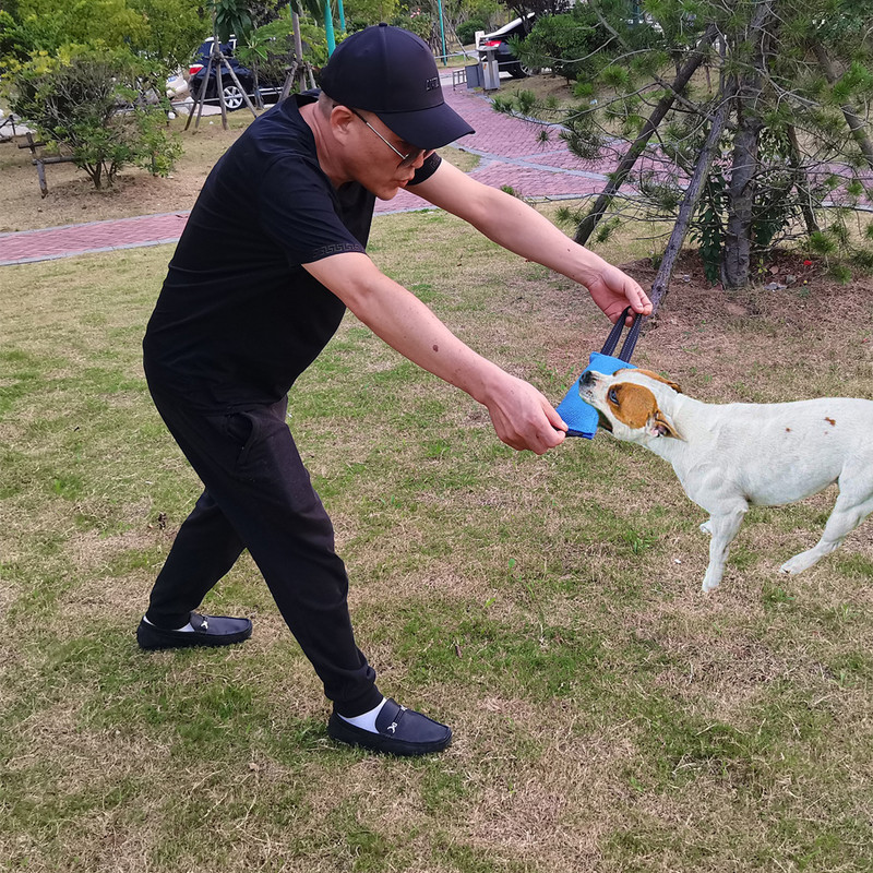 Koerahammustuspulk rebenemiskindel riidest hammustuspulk, närimispulga närimispulga närimine kutsika treenimiseks Interaktiivne mäng Interaktiivsed mänguasjad