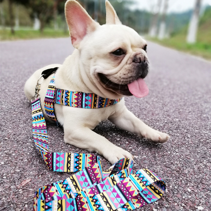 Reglarea hamului pentru câini de companie fără tragere Model colorat Mâner de control ușor pentru dresaj de câini de talie mică și mijlocie Ham pentru vestă de plimbare