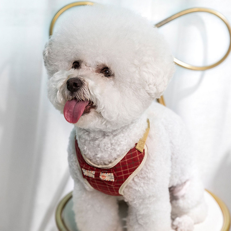 Set de ham și lesă pentru câini de talie mică Ham cu vestă pentru pisici pentru animale de companie, cu plasă cu bowknot, căptușeală, pentru caini mici, chihuahua Yorkie