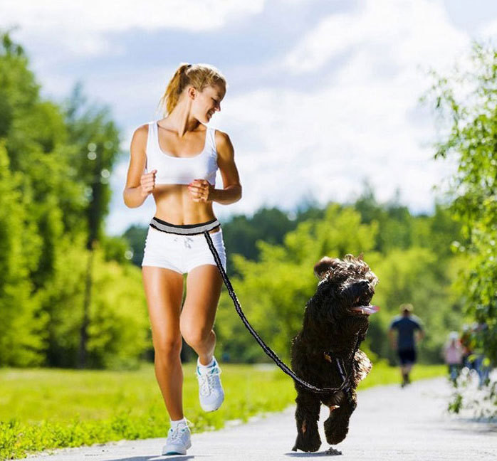 Lemmikloomade vöökott Koerte koerte koerte maiustuste koerte kuulekus Agility treening maiuspalade kotid Eemaldatav kutsikate söödatasku kutsika lemmikloomade suupistekott