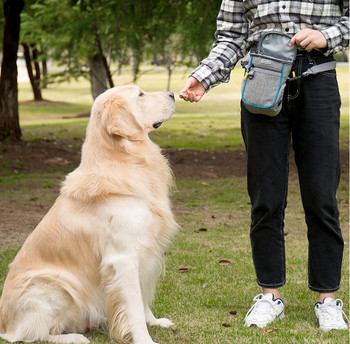 Τσάντες εκπαίδευσης σκύλων Υπαίθρια τσάντα κέρασμα για σκύλους κατοικίδιων ζώων Φορητή για δοχείο τροφής για κατοικίδια Κουτάβι Σνακ Ανταμοιβή Τσάντα μέσης 2022 υψηλής ποιότητας