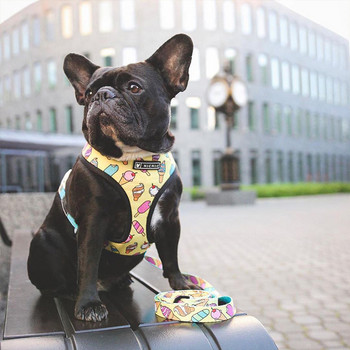 Ζώνες κατοικίδιων ζώων για γαλλικό μπουλντόγκ Small Medium Dogs Leashes Pug Puppy Frenchie Pet λουρί Γιλέκο Walking Dog Lead Leash Leash Προϊόντα για κατοικίδια