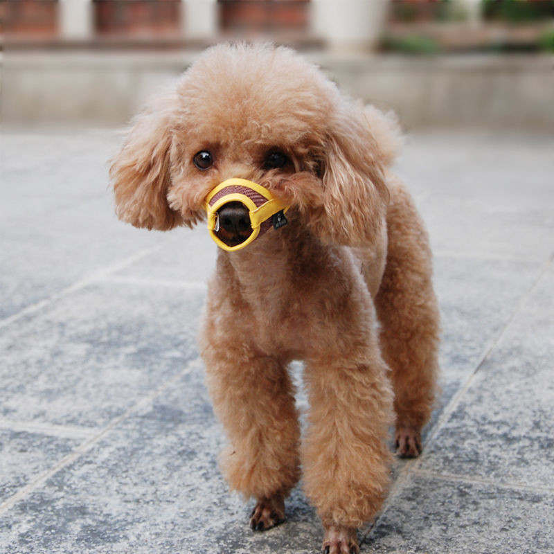 Kvalitetna prijenosna mrežica Praktična korisna njuška za kućne ljubimce Trajnost Pseća maska protiv ugriza Predmeti Višenamjenski osnovni alati Zalihe