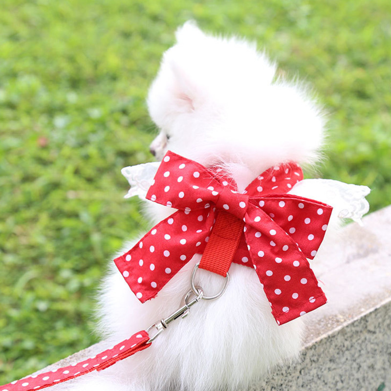 Ham dulce pentru câini, dantelă frumoasă, lesă pentru pisici, arc cu nod, curea pentru piept, guler pentru câini, accesorii pentru animale de companie, lesă pentru câini, fundă roșie