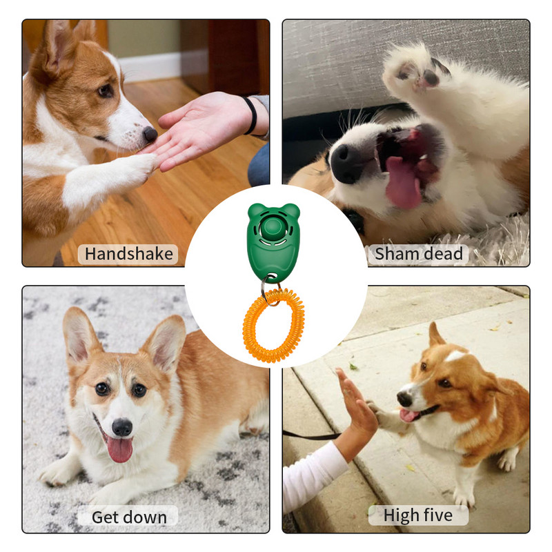 Lemmikloomakoerte koolitus Clicker Sissetõmmatava randmepaela heliga võtmehoidja Huvitavad koostoimega lemmikloomatööriistad koera halva harjumuse parandamiseks