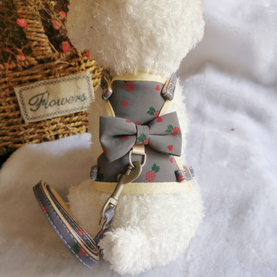 Väikesed koerarakmed, hingavad võrgust rinnarihm Kassi juhtmed Prindi lemmiklooma jalutusrihm kutsikatele ja kassidele Küüliku rakmed Ruuduline vibukassi kaelarihmad