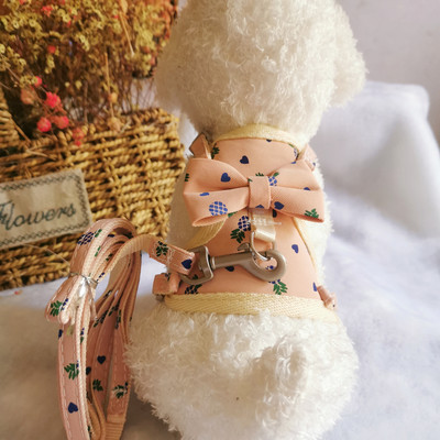 Väikesed koerarakmed, hingavad võrgust rinnarihm Kassi juhtmed Prindi lemmiklooma jalutusrihm kutsikatele ja kassidele Küüliku rakmed Ruuduline vibukassi kaelarihmad