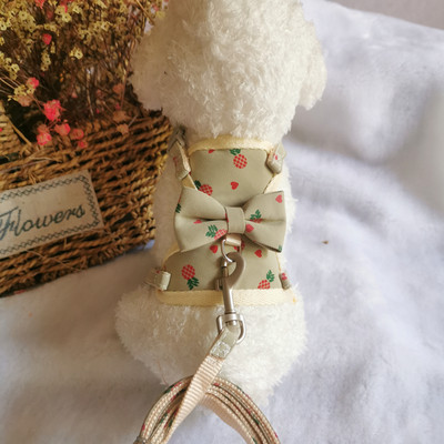 Väikesed koerarakmed, hingavad võrgust rinnarihm Kassi juhtmed Prindi lemmiklooma jalutusrihm kutsikatele ja kassidele Küüliku rakmed Ruuduline vibukassi kaelarihmad