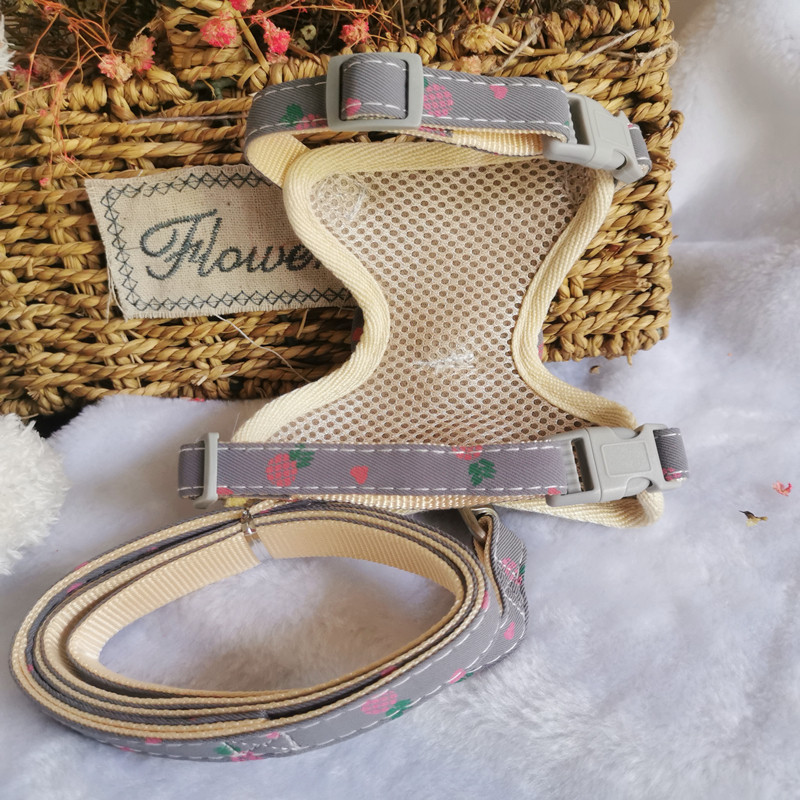 Väikesed koerarakmed, hingavad võrgust rinnarihm Kassi juhtmed Prindi lemmiklooma jalutusrihm kutsikatele ja kassidele Küüliku rakmed Ruuduline vibukassi kaelarihmad