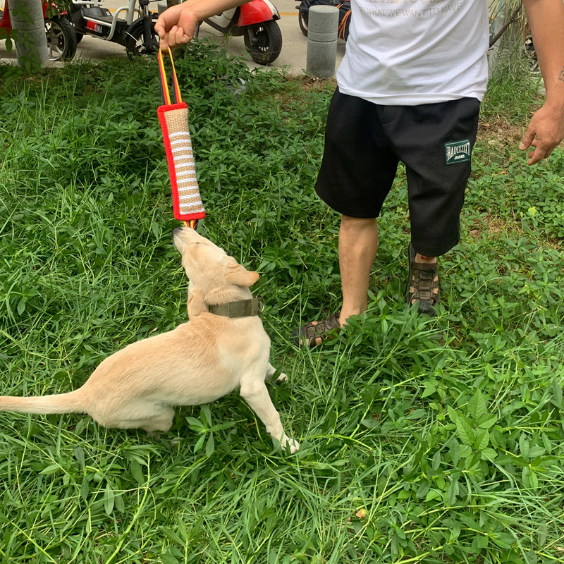 Šunų kramtymas pagalvė vilkikas lazdelė, šiurkščiavilnių kanapių dresūra, kramtymas, ilgaamžis linas, švarūs dantys, interaktyvūs žaislai lauke augintiniams reikmenys