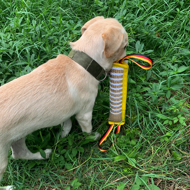 Šunų kramtymas pagalvė vilkikas lazdelė, šiurkščiavilnių kanapių dresūra, kramtymas, ilgaamžis linas, švarūs dantys, interaktyvūs žaislai lauke augintiniams reikmenys