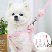 Σετ λουριών και περιλαίμιου σκύλου Χαριτωμένο αστερίας για κουτάβι γατάκι λουρί με ριγέ βαμβακερό καπίστρι 4 Χρώμα για μικρούς σκύλους Αξεσουάρ για γάτες