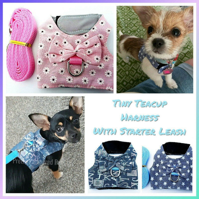 Câine ceașcă de ceai Chihuahua ham vestă cu plasă din plumb XXXS XXS XS pentru Tiny Kitty Cat Yorkie vestă moale Set cu lesă, iepure, pisică, cățeluș