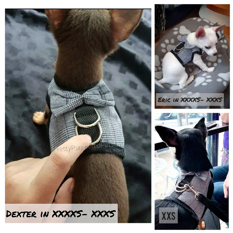 Câine ceașcă de ceai Chihuahua ham vestă cu plasă din plumb XXXS XXS XS pentru Tiny Kitty Cat Yorkie vestă moale Set cu lesă, iepure, pisică, cățeluș