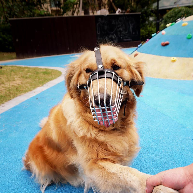 Bot din piele de vacă din oțel inoxidabil pentru câini, neagră, anti-mușcătură și anti-mizerie, mască pentru animale de companie Cușcă pentru gură pentru animale de companie de dimensiuni medii și mari