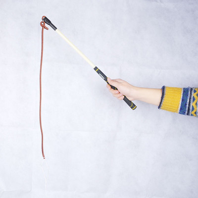 Šunų dresūra rykštė naminių gyvūnėlių reikmenys Tvirtas karvės odos šunų plakimas botagu Didelis ganytojas Mokymas išvaryti galvijus avis ir arklius