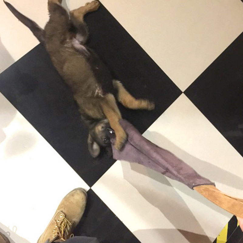 Δερμάτινο Puppy Dog Bite Rag Ρυμουλκό Παιχνίδια με λαβή για Εκπαίδευση Σκύλου Puppy Police HEE889