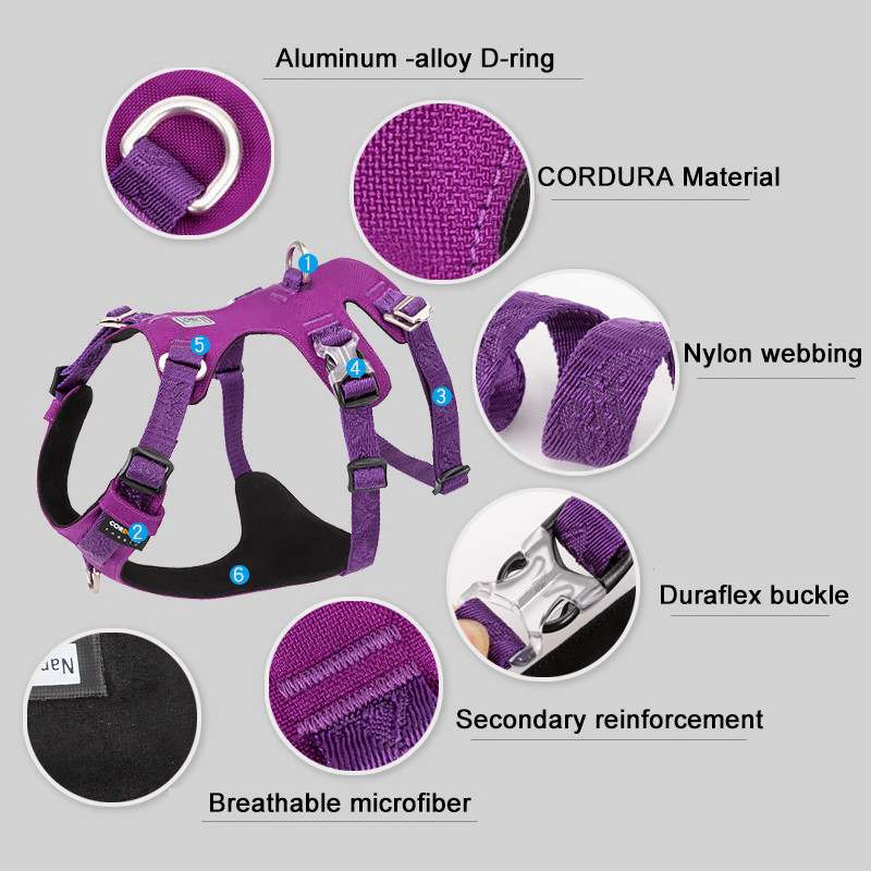 TRUELOVE Najlonski pojas za kućne ljubimce, lagani vez u obliku dvostrukog H, 5 podesivih položaja, vodootporan za srednje i velike pse YH1807