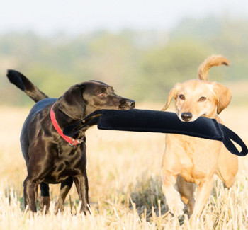 Εκπαίδευση σκύλων κατοικίδιων ζώων Ρυμουλκό σεντονιών K9 Ρυμουλκό με ραβδί σκύλου για ενήλικους σκύλους και κουτάβια για σκύλους Εκπαίδευση κατοικίδιων ζώων