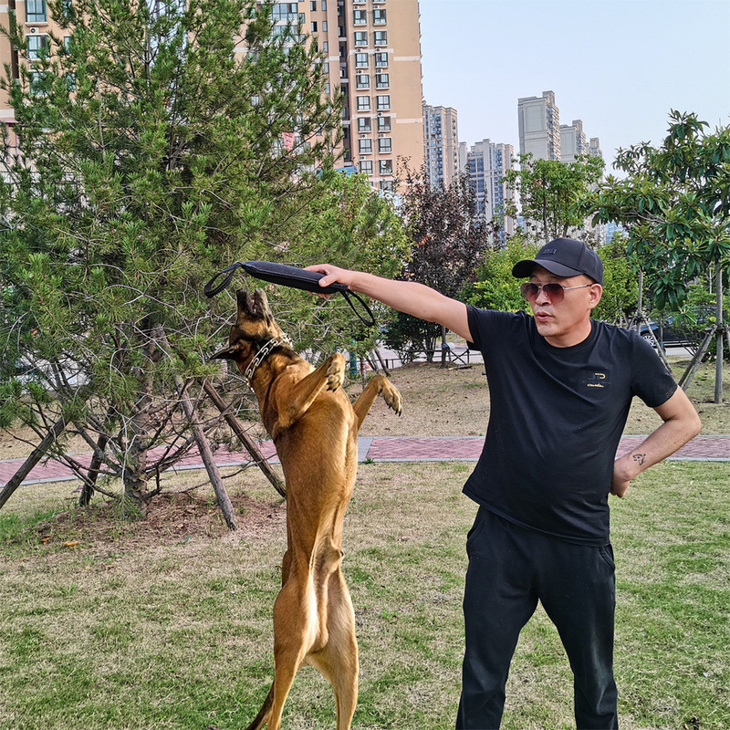 Jucărie de antrenament pentru câini pentru câini adulți și căței pentru câini, aruncă de dresaj pentru animale de companie