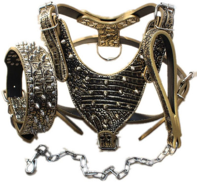 Σετ λουριών λουριών με λουρί για κολάρο με λουρί με αντιεκρηκτική προστασία για κατοικίδιο με πριτσίνια πανκ στυλ σκύλου Αξεσουάρ για εξωτερικούς χώρους για σκύλους