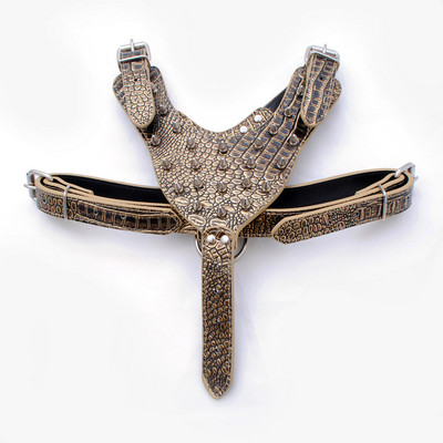 Σετ λουριών λουριών με λουρί για κολάρο με λουρί με αντιεκρηκτική προστασία για κατοικίδιο με πριτσίνια πανκ στυλ σκύλου Αξεσουάρ για εξωτερικούς χώρους για σκύλους