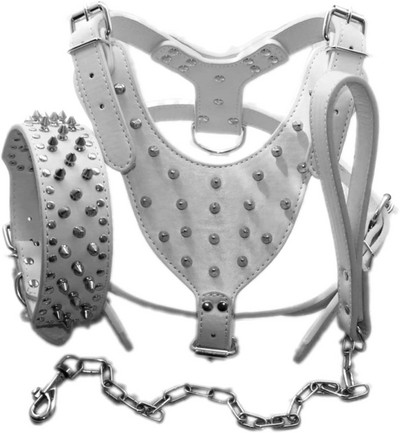 Σετ λουριών λουριών με λουρί για κολάρο με λουρί με αντιεκρηκτική προστασία για κατοικίδιο με πριτσίνια πανκ στυλ σκύλου Αξεσουάρ για εξωτερικούς χώρους για σκύλους