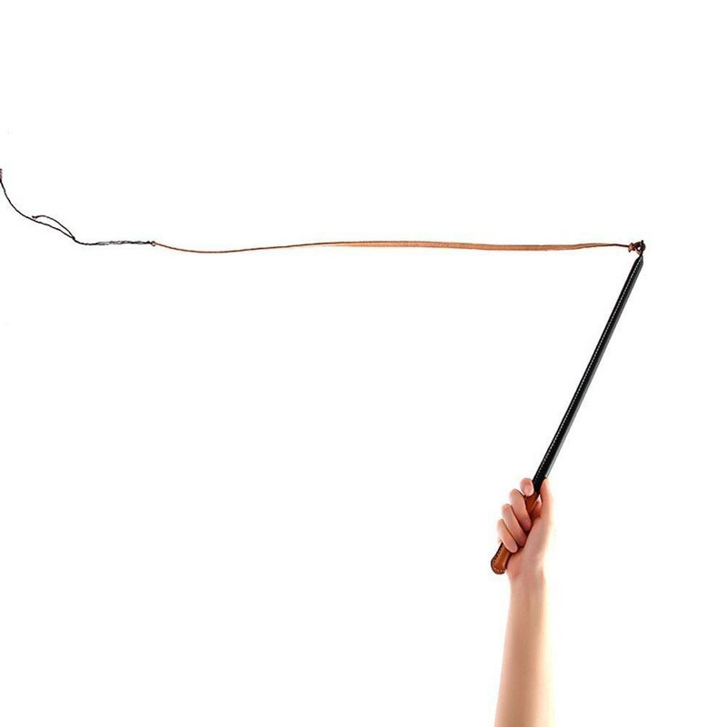 Băț de dresaj pentru animale de companie, bici pentru dresaj de câini din piele, protejează frânghie pentru câini, jucărie, lesă pentru animale de companie pentru câini de dimensiuni medii