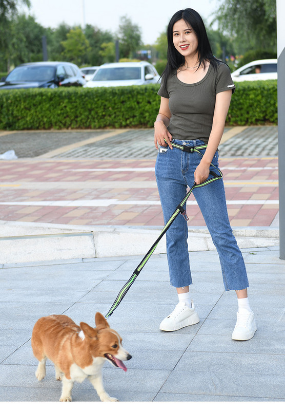 Husă pentru mâncăruri pentru câini, depozitare alimente, dresaj pentru animale de companie, dresaj portabil pentru dresaj pentru câini, pungă de gustare cu șnur pentru câini mici până la mari