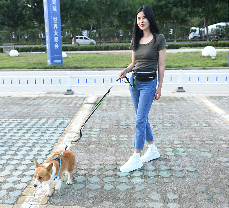 Husă pentru mâncăruri pentru câini, depozitare alimente, dresaj pentru animale de companie, dresaj portabil pentru dresaj pentru câini, pungă de gustare cu șnur pentru câini mici până la mari