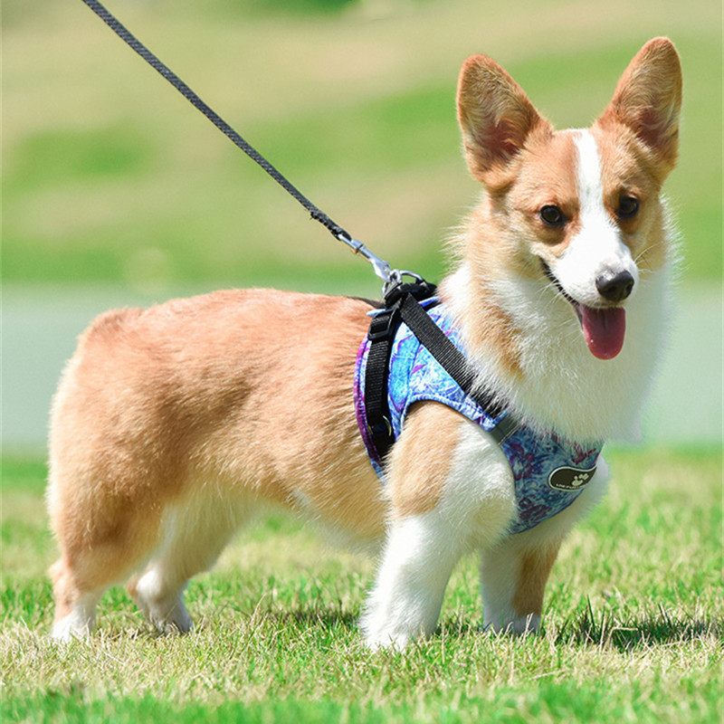 Jaunas mājdzīvnieku atstarojošas neilona suņu siksnas, bez vilkšanas, regulējamas vidējas lielas suņa veste, drošības transportlīdzekļa pavada staigāšana, skriešana ar pavadu