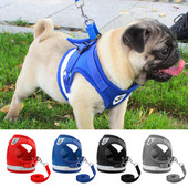 Ζώνες σκύλου για Chihuahua Pug Small Medium Dogs Nylon Mesh Puppy Cat λουριά Γιλέκο Reflective Walking Leash Leash Petshop