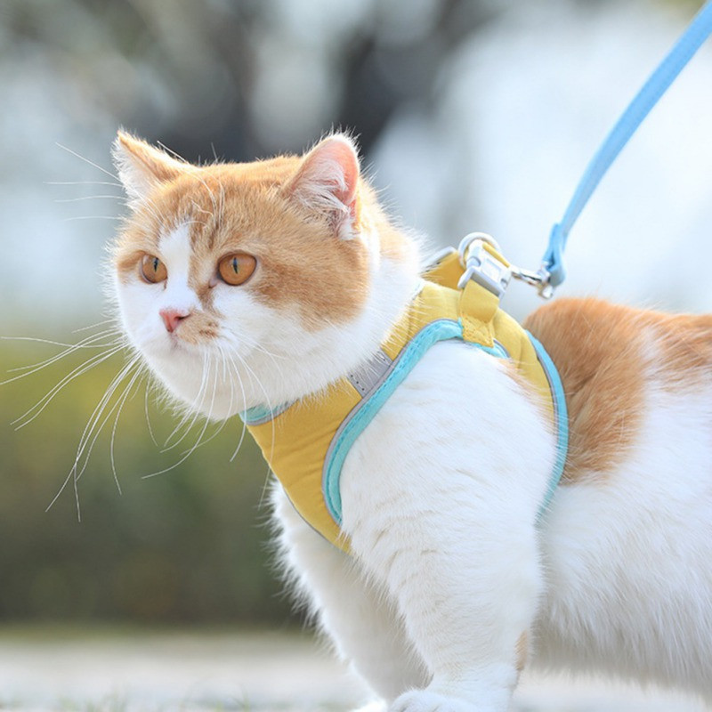 Ζώνη στήθους κατοικίδιων ζώων Ανακλαστικό κολάρο γάτας Προπονητικό κολάρο για μικρό κουτάβι γάτας Ρυθμιζόμενο σκυλί με λουριά στήθους