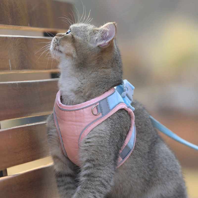 Ζώνη στήθους κατοικίδιων ζώων Ανακλαστικό κολάρο γάτας Προπονητικό κολάρο για μικρό κουτάβι γάτας Ρυθμιζόμενο σκυλί με λουριά στήθους