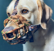 Ρύγχος σκύλου Καλάθι Σιλικόνης Ρύγχος Αναπνεύσιμο Ρύγχος Σκύλου για Αποφυγή Δαγκώματος Το γάβγισμα και το Μάσημα για Μικρά Μεσαία Μεγάλα για Ενεργό