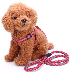Width Reflective Strap Σετ λουριών και λουριών σκύλου Round Wave Nylon Leashes γιλέκο για μικρομεσαίους σκύλους Chihuahua Pet Shop