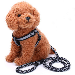 Width Reflective Strap Σετ λουριών και λουριών σκύλου Round Wave Nylon Leashes γιλέκο για μικρομεσαίους σκύλους Chihuahua Pet Shop