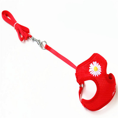 Daisy Embroidery võrgust hingav koera vesti rakmed ja jalutusrihma komplekt Juhtkoera rakmed Moeaksessuaarid väikestele koertele Chihuahua