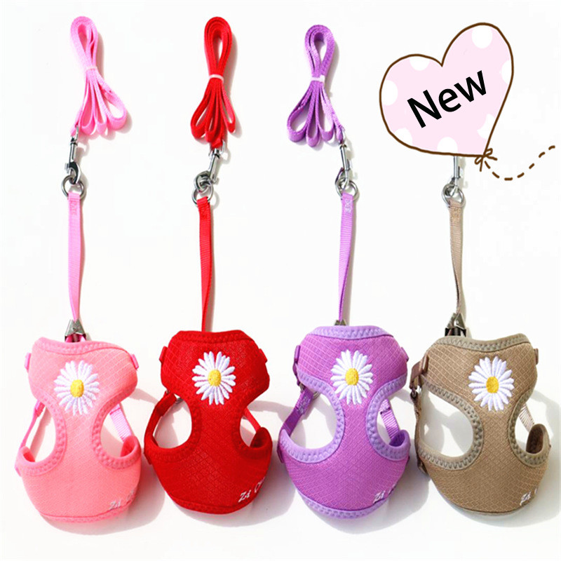 Daisy Embroidery võrgust hingav koera vesti rakmed ja jalutusrihma komplekt Juhtkoera rakmed Moeaksessuaarid väikestele koertele Chihuahua