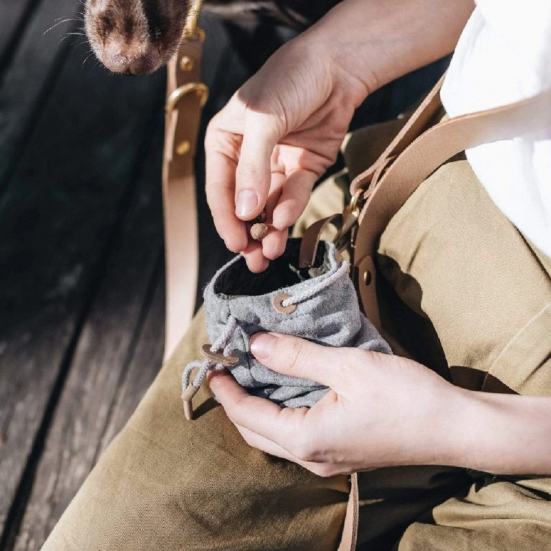 Suport portabil pentru geantă pentru câini pentru animale de companie Căruță de mers pe jos Tratamente pentru antrenament în aer liber Geantă de gustare pentru cățeluș Husă cu șnur pentru mâini libere