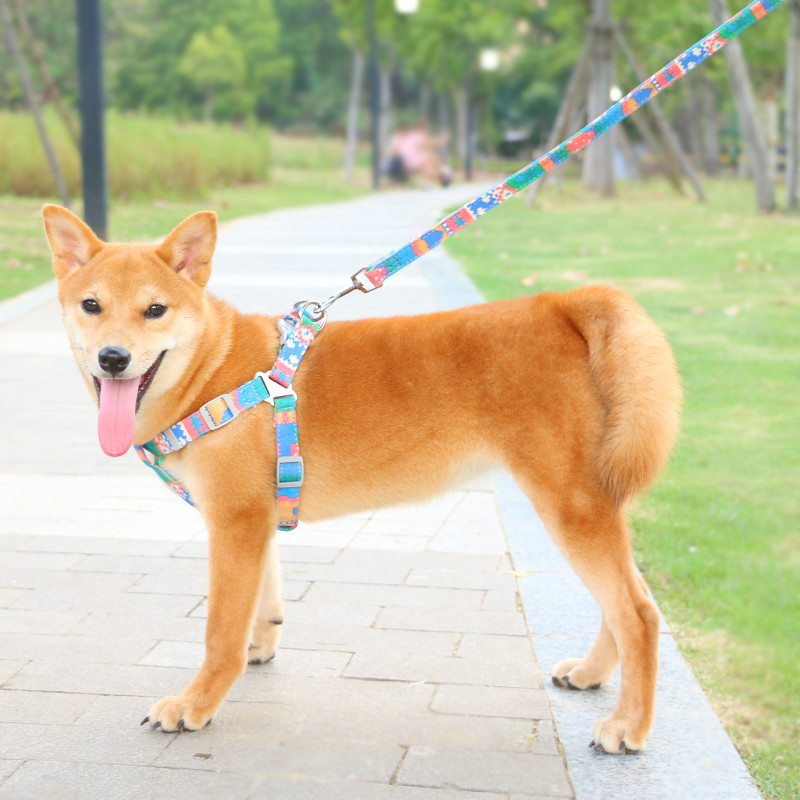 Set de hamuri fără tragere pentru câini, lesă în stil boem, cățeluș, pisicuță, vestă respirabilă, set de hamuri dintr-o bucată, accesorii noi de modă pentru câine