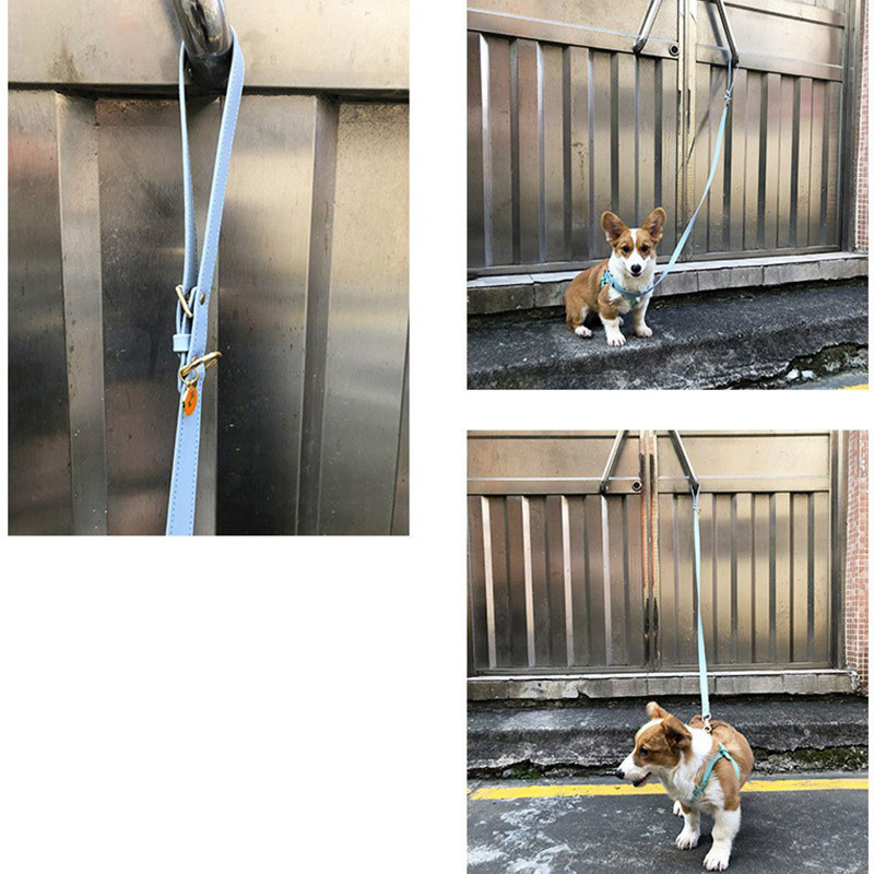 Koera rakmed jalutusrihm Koera kassi rinnarihm Kassi vest veoköis Koerte jalutuskett lemmiklooma vesti rakmed väikestele ja keskmistele koertele kassidele