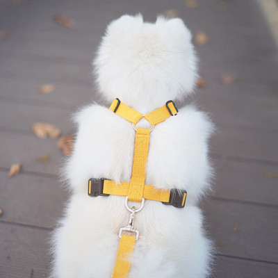 Lemmikloomakoerte rakmete ja jalutusrihma komplekt Reguleeritav kassi kutsikas kõndimine, ohutu, pehme veojõuga põgenemiskindel lemmikloomatarbed rakmete rihm