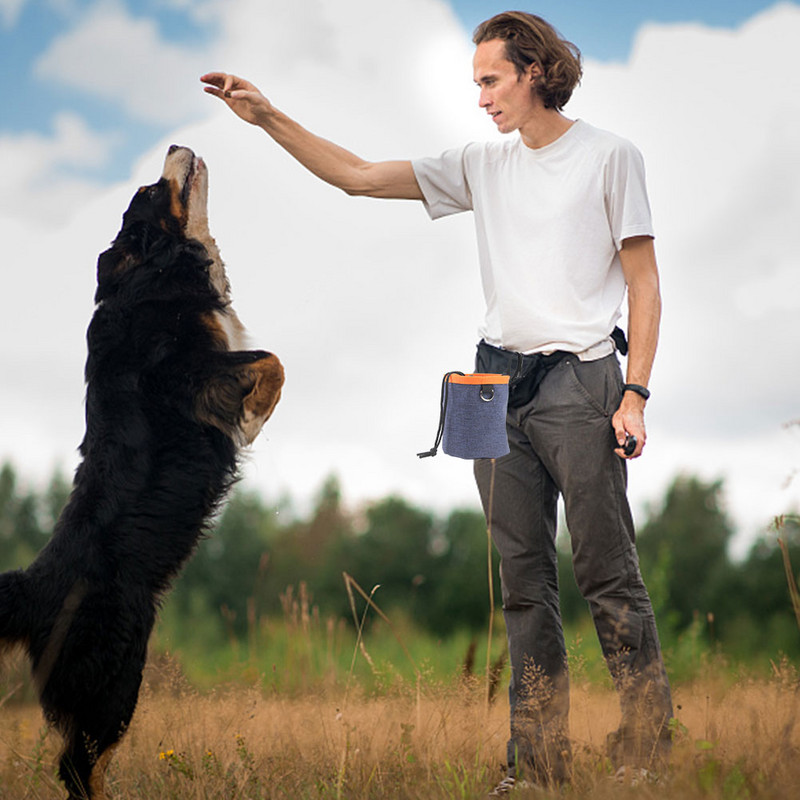 Husă portabilă pentru tratarea câinelui pentru pisici Genți de dresaj pentru câini Container pentru hrana pentru animale de companie Recompensa pentru gustare pentru cățelușă Geanta de talie pentru agilitate în aer liber Produs pentru animale de companie