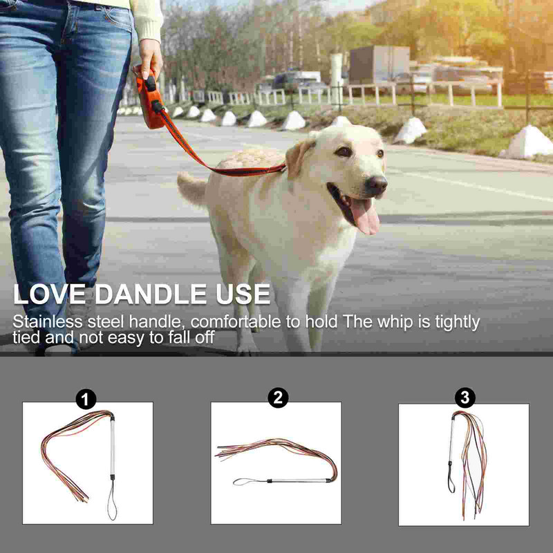 Whip Dresura pasa Bičevi za kućne ljubimce Štap za jahanje Konj Potrepštine za kućne ljubimce Igračke Sanjke Štap za jahanje Štene Alat Štapovi Skok