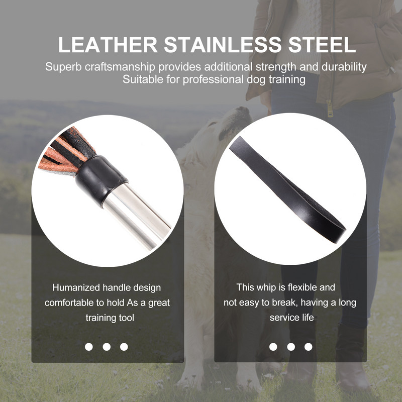 Šunų dresūra rykštėmis Naminių gyvūnėlių botagai Jojimo lazdos arkliai Augalai Naminiai gyvūnai Reikmenys Žaislinės rogės Agitacija Jojimo stulpas Šuniukas Įrankis Lazdelės Šuolis