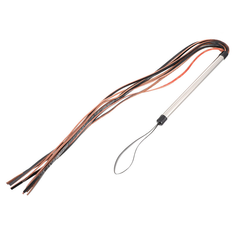 Šunų dresūra rykštėmis Naminių gyvūnėlių botagai Jojimo lazdos arkliai Augalai Naminiai gyvūnai Reikmenys Žaislinės rogės Agitacija Jojimo stulpas Šuniukas Įrankis Lazdelės Šuolis