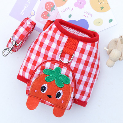 Kućni ljubimac, pas, mačka, remen za prsa, povodac, slatka karirana voćka, prsa i leđa, šetanje psa, medo, borba, bago odjeća, pojas za male pse