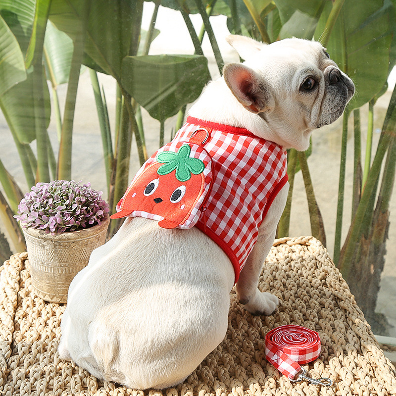 Kućni ljubimac, pas, mačka, remen za prsa, povodac, slatka karirana voćka, prsa i leđa, šetanje psa, medo, borba, bago odjeća, pojas za male pse